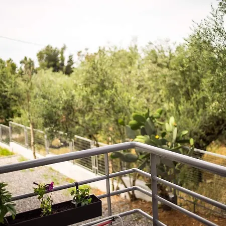 Laura Maisons 卡拉马塔