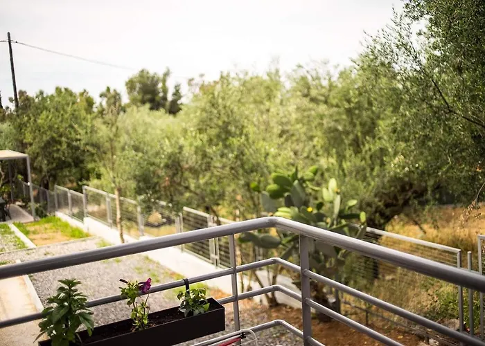 Laura Maisons Kalamáta