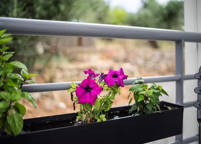 Appartamento Laura Maisons *